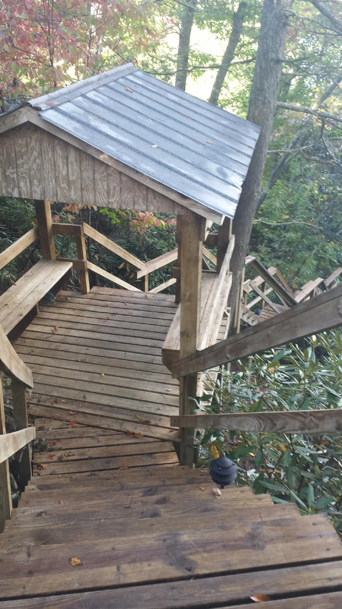 Metal roofed shelter over wooden steps on a wooded walkway — Skylight Repair & Installation work by our crew in Wynne